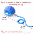 Exciting Mizusu Interactive Rolling Ball Toy for Cats and Dogs - Comes with Two Extra Tails for Endless Fun!